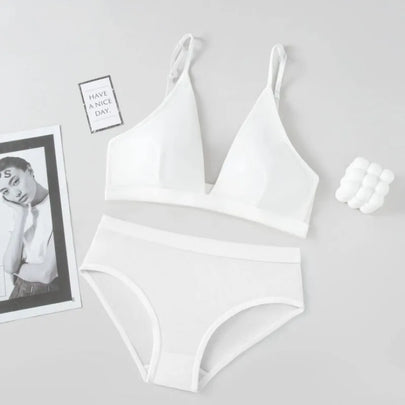 Women Seamless Bra and Panties Set Low Waist Ice Silk Briefs Non-Wire Bra Sexy Lingerie Female Push up Bra Comfort Underwear Set