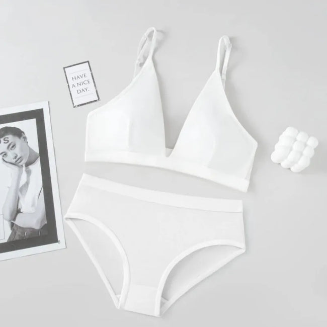Women Seamless Bra and Panties Set Low Waist Ice Silk Briefs Non-Wire Bra Sexy Lingerie Female Push up Bra Comfort Underwear Set