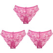 3Pcs Women Panties Girls Sexy Lace Underpant plus Size Pretty Underwear Female Seamless Low Waist Breathable Briefs Female Panty